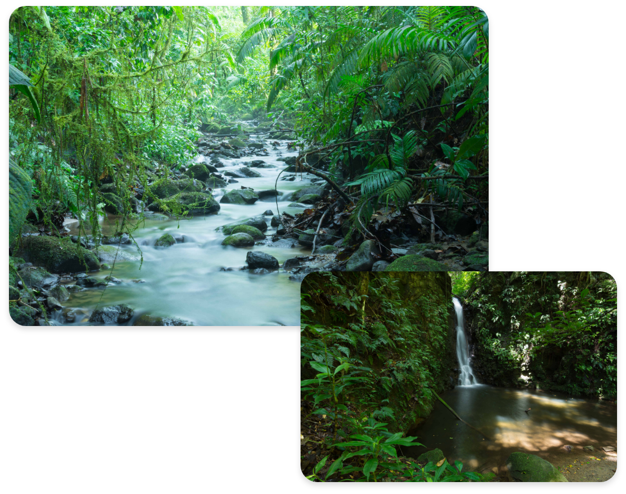 Feature image 1