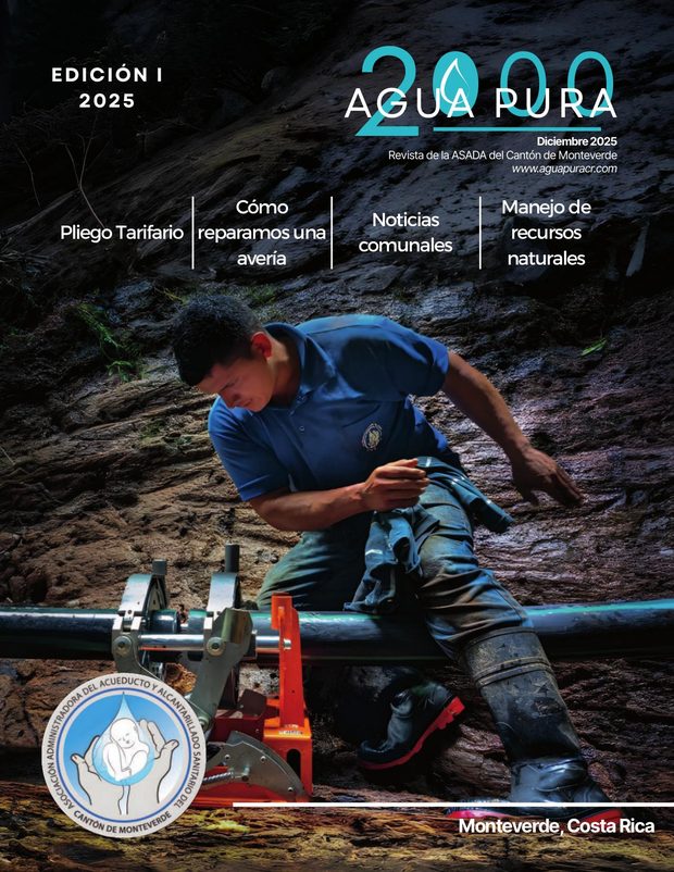 Portada de la I edición de 2025