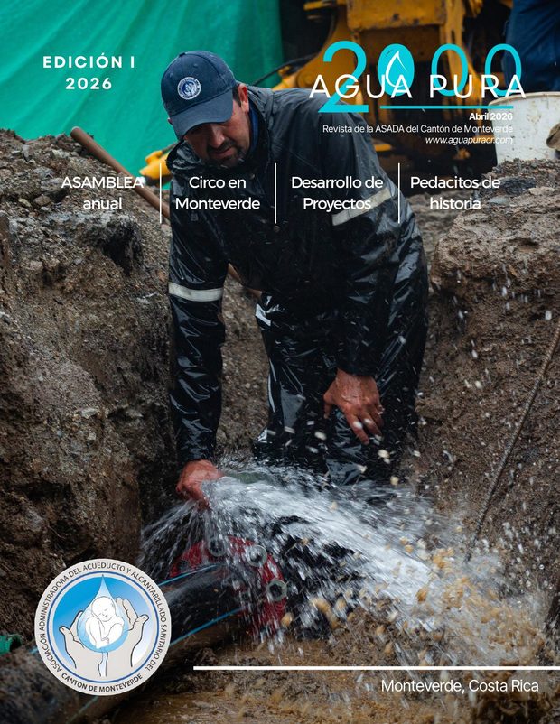 Portada de la I edición de 2026