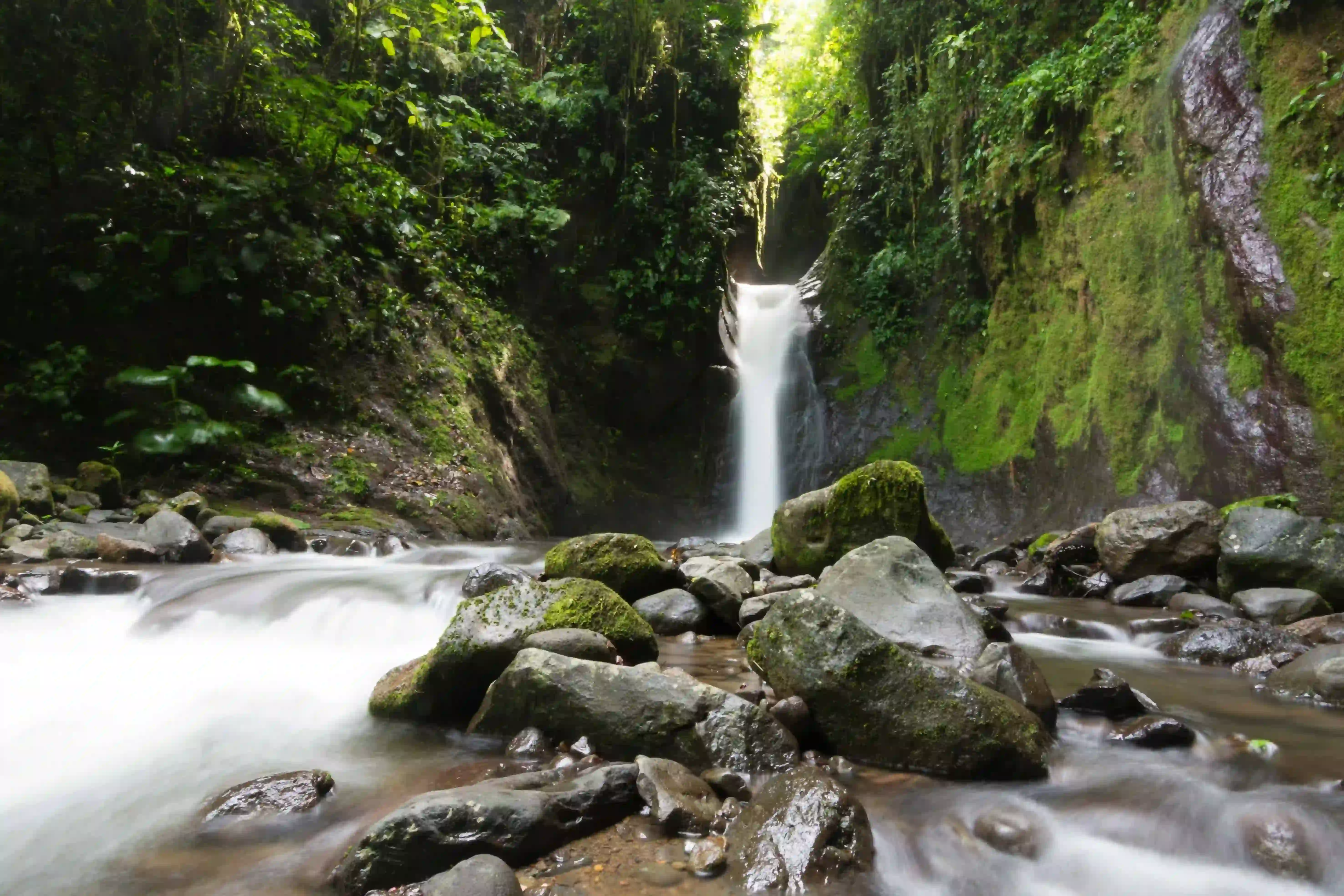 Cover image 03