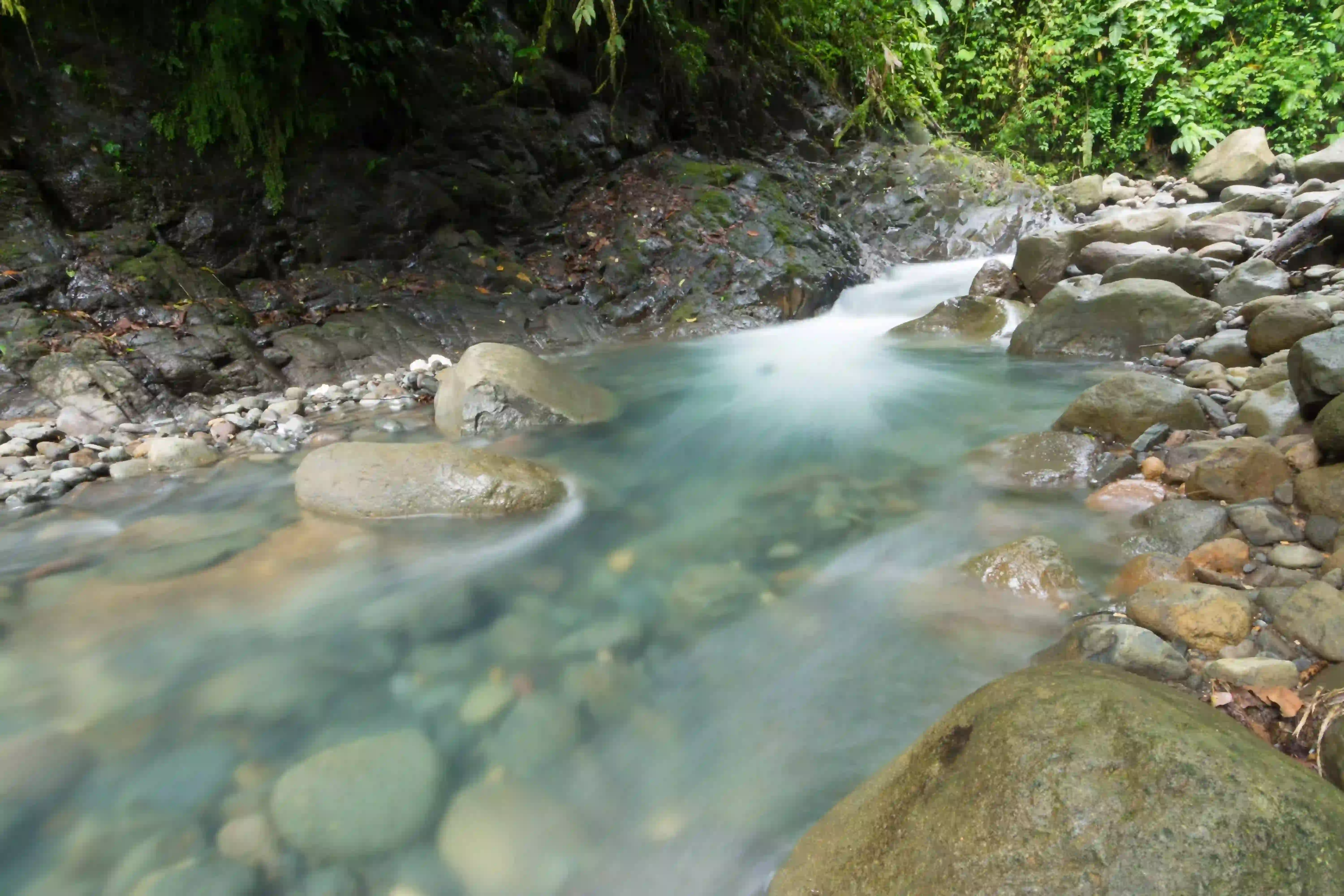 Cover image 04