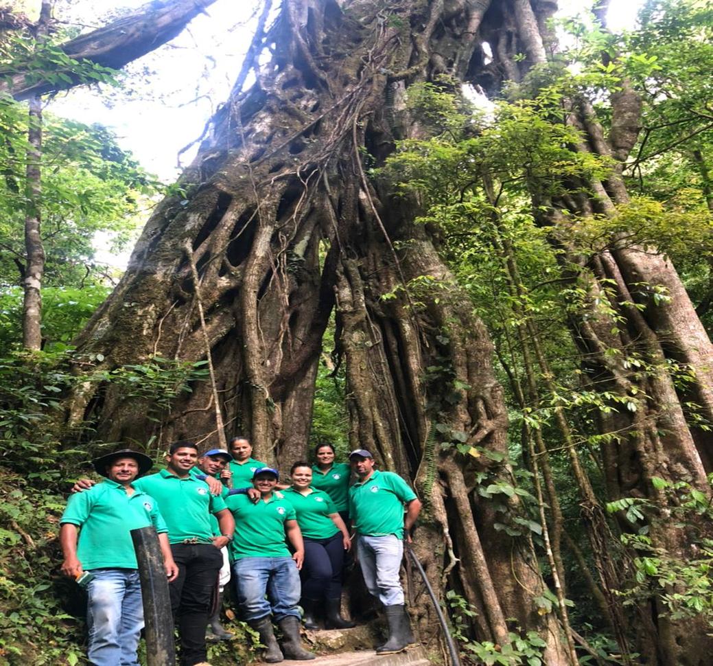 Equipo de la ASADA en el bosque